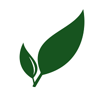 Paperless Logo